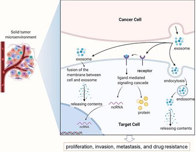 Exosomes: A New Pathway for Cancer Drug Resistance